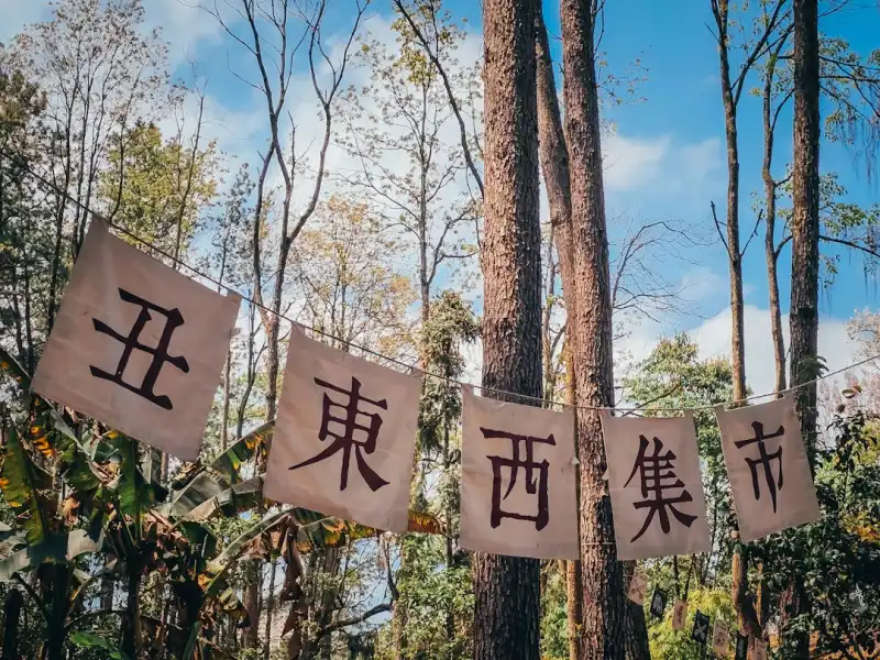 医用铅板与铅玻璃在放射科机房建设中的选型要点